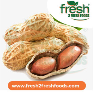 Fresh Peanuts