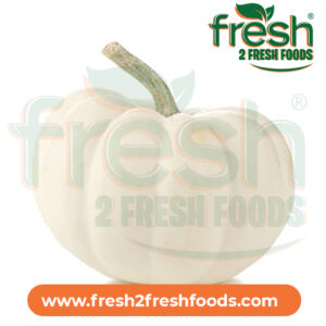 White Large Pumpkins