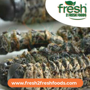 Mopani Worms Madora