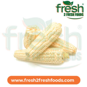 2 Dry Maize on Cob
