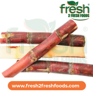 Sugarcane (Zim)